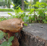 IMG_20260803_120336_1 - Рязанские ведомости