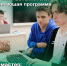 В Курске обучат работать с ИИ - Городские Известия