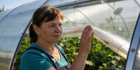ETFE вытесняет поликарбонат: новый материал меняет теплицы и ожидания дачников - Peterburg2.Ru