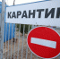 Карантин по бешенству объявили в Михайловке Волгоградской области - Волга-Медиа