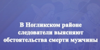 В Ногликском районе следователи выясняют обстоятельства смерти мужчины - Следственный комитет