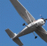 В Иркутской области пропал самолет-патруль «Cessna 182» - ИА Тайшет24