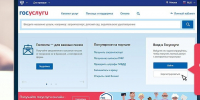 Госуслуги 3.jpg - Администрация г. Владивостока