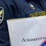 Амурчанин, испугавшись уголовной ответственности, оплатил 500 000 рублей долга по алиментам - Asn24.Ru