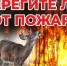 Управление муниципальных инспекций Окружной администрации города Якутска информирует - Администрация г. Якутск