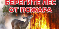 Управление муниципальных инспекций Окружной администрации города Якутска информирует - Администрация г. Якутск