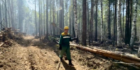 В Бурятии за сутки не зарегистрировано ни одного лесного пожара - ВостокТелеИнформ