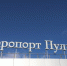 Петербуржцам рассказали, как работает Пулково в условиях ограничений - Spbdnevnik.ru