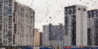 Ожидаются дожди и грозы: прогноз погоды в Кургане на 4 августа - Область 45