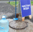 Фото Екатерины Христозовой - Tumentoday.Ru
