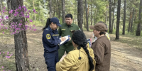 За нарушение правил пожарной безопасности в лесах предусмотрены штрафы  - Правительство Республики Саха (Якутия)