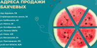 Где можно купить вкусную ягоду без нитратов и пестицидов в сезон арбузов-2026 в Ставрополе - Sk-News.Ru