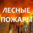 Лесной пожар №47 обнаружен 03.08.2026г в 17:00  52 км от п. Брянка, S=0,03 Га. Сухо-Питское лесничество, угрозы н.п нет. Причина: Гроза. - Северо-Енисейский муниципальный округ