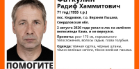 Под Верхней Пышмой пенсионер уехал в лес на велосипеде и пропал - ИА Уральский меридиан
