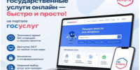 На портале «Госуслуги» можно уведомить о безнадзорном животном. - Целинный муниципальный округ