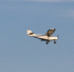 Поиск пропавшего самолета Cessna в Приангарье осложняет туман - M24.Ru