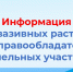 Информация об инвазивных растениях для правообладателей земельных участков - Беловский район