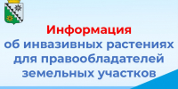 Информация об инвазивных растениях для правообладателей земельных участков - Беловский район