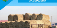 Заготовка сена завершена - Беловский район