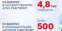 В сентябре нижегородцам предстоит сделать важный выбор - Сеченовский муниципальный округ