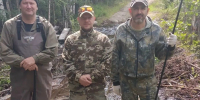 В Карелии бобры мешают выполнить госзадание - Gubdaily.Ru
