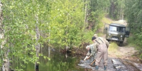 Бобровые плотины поднимают уровень воды в лесных ручьях и реках - StolicaOnego.Ru