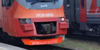 В Новочеркасске вынесли приговор железнодорожнику, по вине которого под колесами поезда погибла женщина - DonDay.Ru