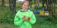 Хабаровские пчеловоды предлагают взять в аренду улей - ИА Хабаровский край сегодня