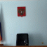 Омич скрылся из суда перед приговором, пока судья не видел - СуперОмск