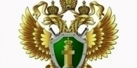 В Самаре поток судебных решений по дропперам не иссякает - TltGorod.Ru