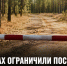 Задонское лесничество до 23 августа ограничило посещение лесов - Газета Задонская правда