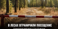Задонское лесничество до 23 августа ограничило посещение лесов - Газета Задонская правда