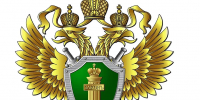Актуализированы методические рекомендации по вопросам комплексной реабилитации и абилитации инвалидов, ранней помощи детям и их семьям - Городской округ Воротынский