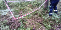 В Рузском округе взрывотехники ГКУ МО «Мособлпожспас» обезвредили артиллерийский снаряд времен ВОВ - РузаРИА