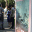 Фото: News29 - News29.Ru