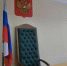 В Березовском воспитанника ФОКа придавило деревом - КП Екатеринбург