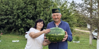 Жители села Татарский Янтык Лаишевского района почувствовали вкус лета - Камская новь