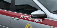 В Саранске росгвардейцы пресекли нарушение правопорядка: «отдых» на лавочке закончился в отделе полиции - Росгвардия