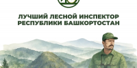 В Башкирии объявили конкурс на «Лучшего лесного инспектора» - Сетевое издание Республика Башкортостан