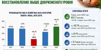В Башкирии производство яиц восстановилось на уровень выше докризисного - Сетевое издание Республика Башкортостан