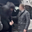 В Севастополе задержали двух россиян, готовивших теракт по указанию украинских спецслужб></div>
	<div class= - Вести.Севастополь