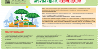 О рекомендациях по выбору арбузов и дынь - Роспотребнадзор Чувашии