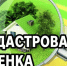🏠 В Запорожской области в 2027 году проведут государственную кадастровую оценку недвижимости. - Городской округ Бердянск