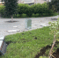 В Сарапуле задержали водителя, скрывшегося с места ДТП - Сусанин