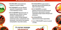 Напоминаем гражданам о том, что на территории Воронежской области объявлен V класс пожарной опасности. - Город Богучар