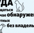 Сообщение о нахождении животного без владельца. - Варгашинский муниципальный округ