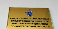 Следователем регионального СК возбуждено уголовное дело по информации о нападении собаки на местных жителей в городе Буе - Следственное управление