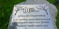 На территории красноярского храма выросли деревья в Аллее лесозащитников - Епархия