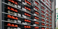 В Дагестане Россельхознадзор выявил 317 тонн зараженной импортной продукции - РИА Дагестан