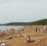 Вода на городских пляжах в Сосновом Бору годится для купания, но не в карьерах - Газета Маяк